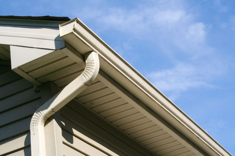 Gutter Protection detail